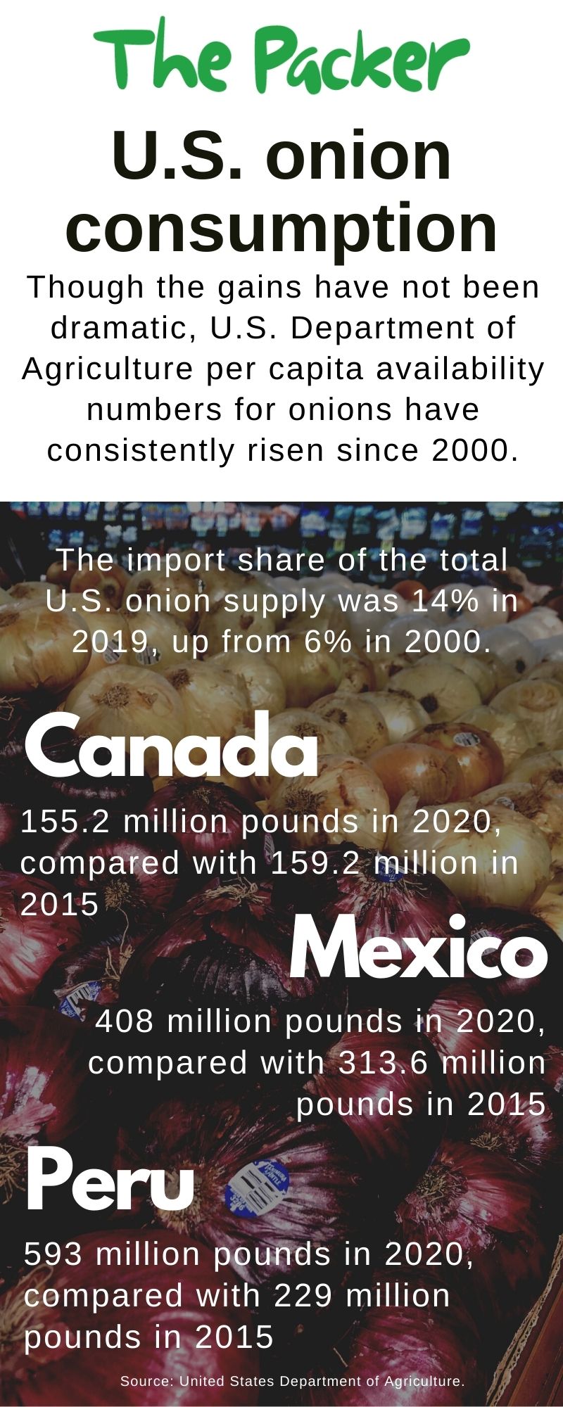 Onion consumption on the rise The Packer